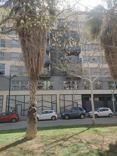 Foto de CSV Asesoría