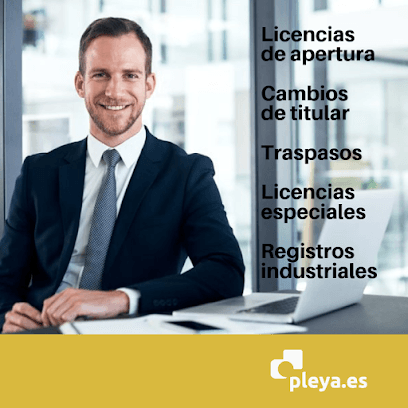 Foto de Pleya , Gestión Integral de Licencias de Apertura y Cambios de Titular