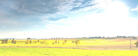 Foto de Licencias 4x66