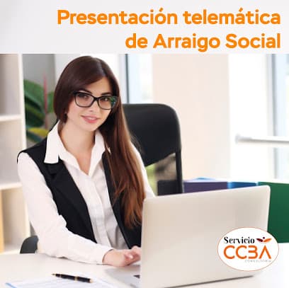 Foto de Servicio CCBA Consultoría